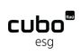 Logo Cubo